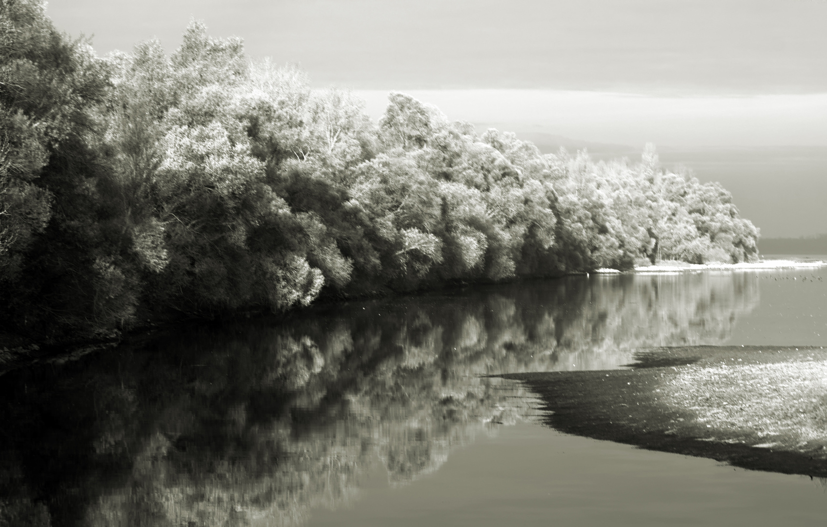 le bas Rhin - der niedrige Rhein