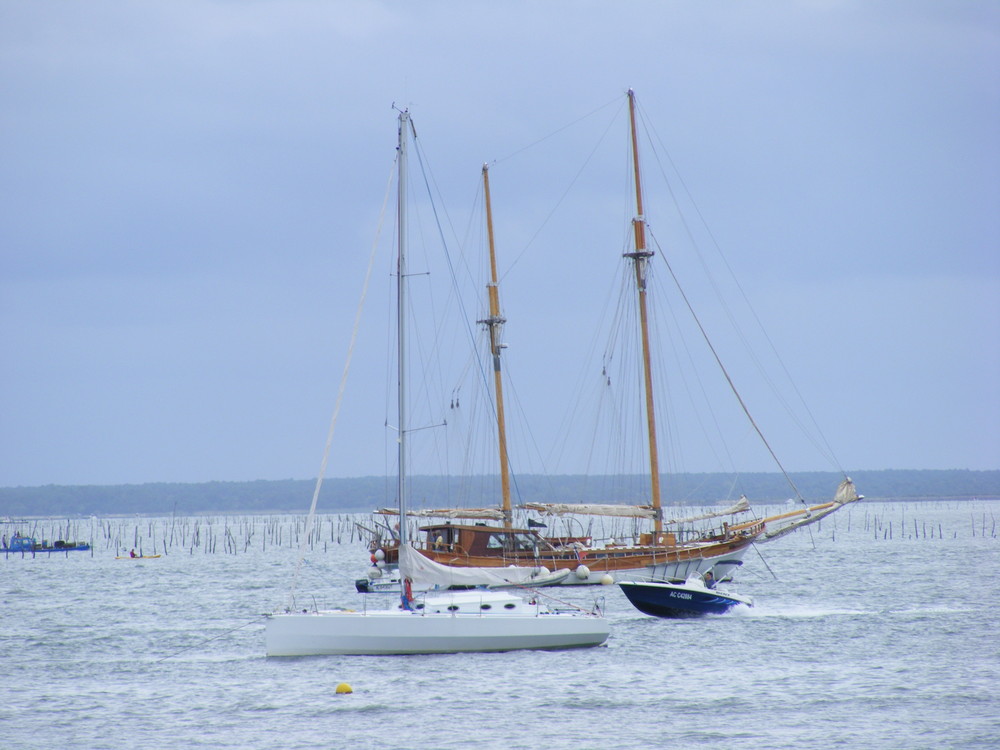 Le bassin d' Arcachon