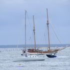 Le bassin d' Arcachon