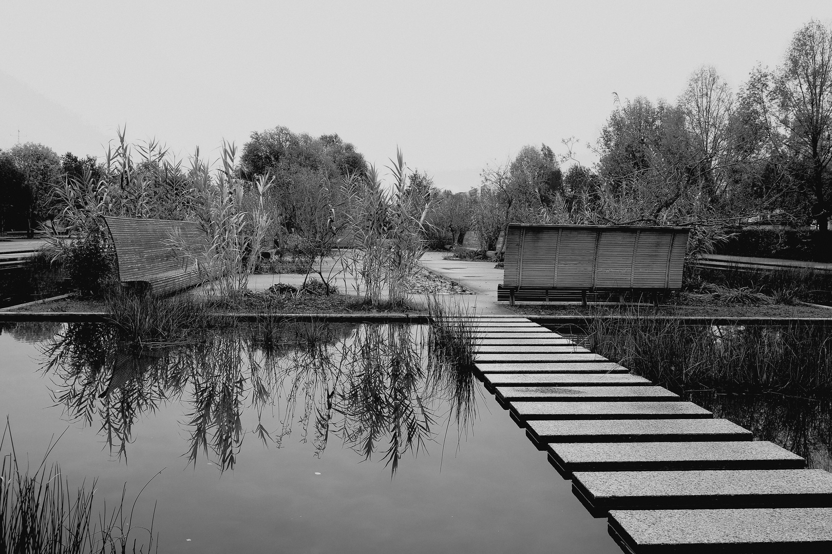 le bassin du parc 