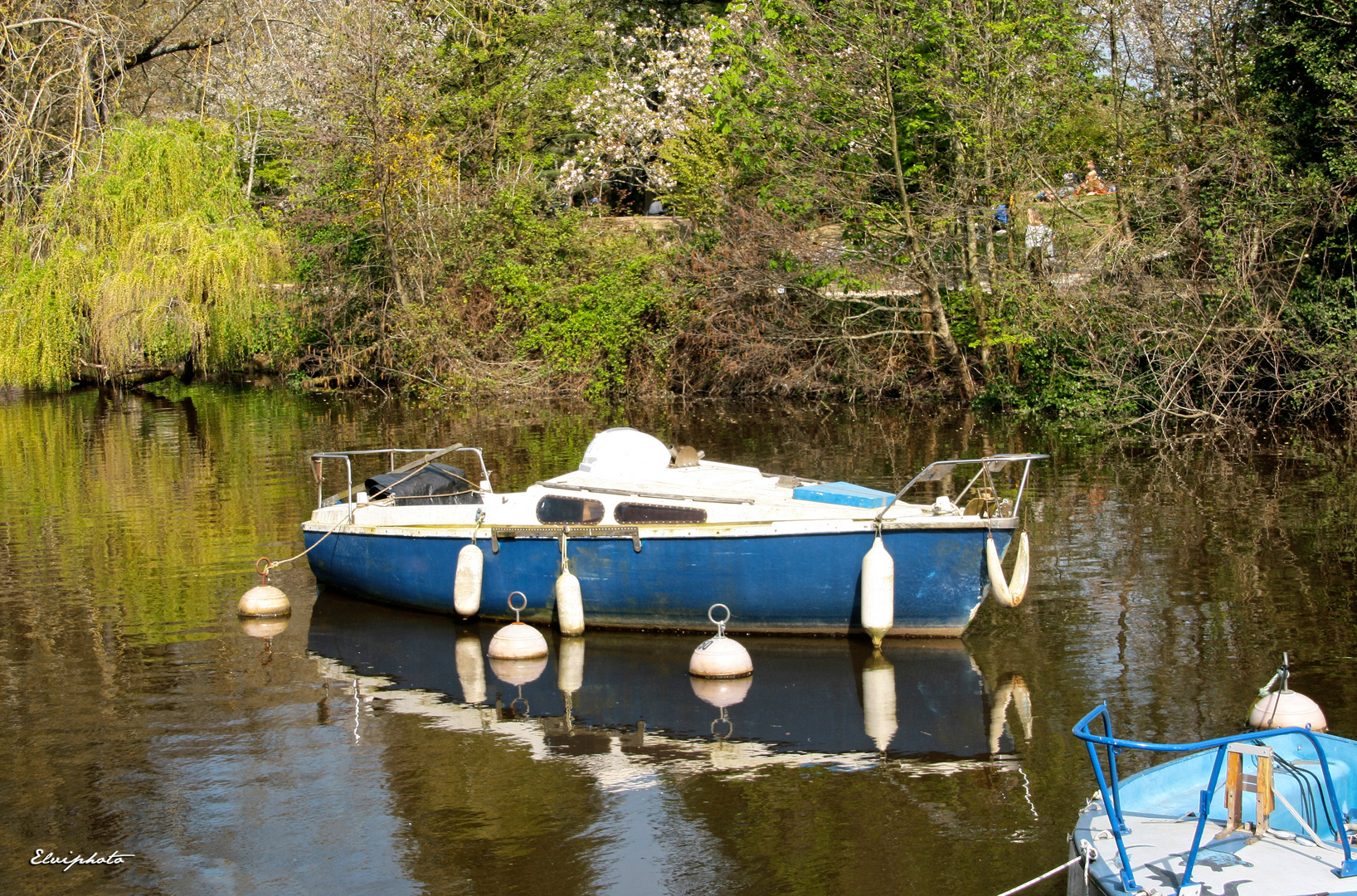 Le bateau bleu 