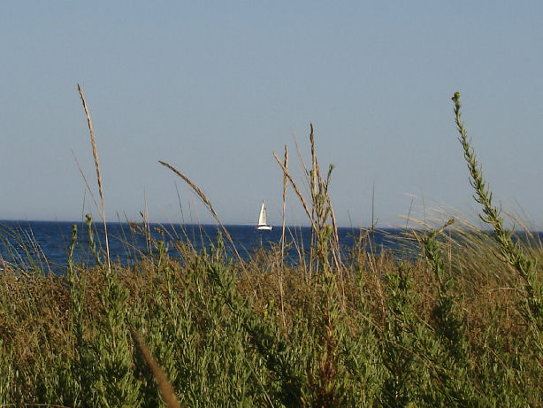 Le Bateau