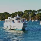 Le bateau navette pour l'Ile d'Artz(Morbihan)