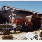 le battage du blé à l'ancienne