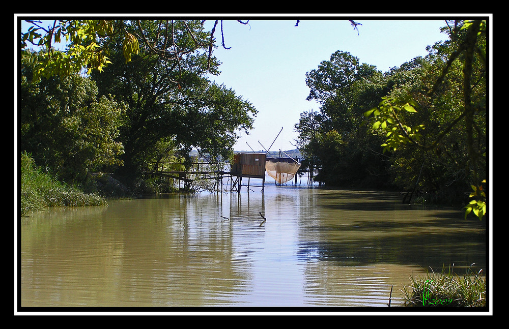 Le bayou de Gironde