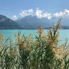 Le beau lac d'Annecy