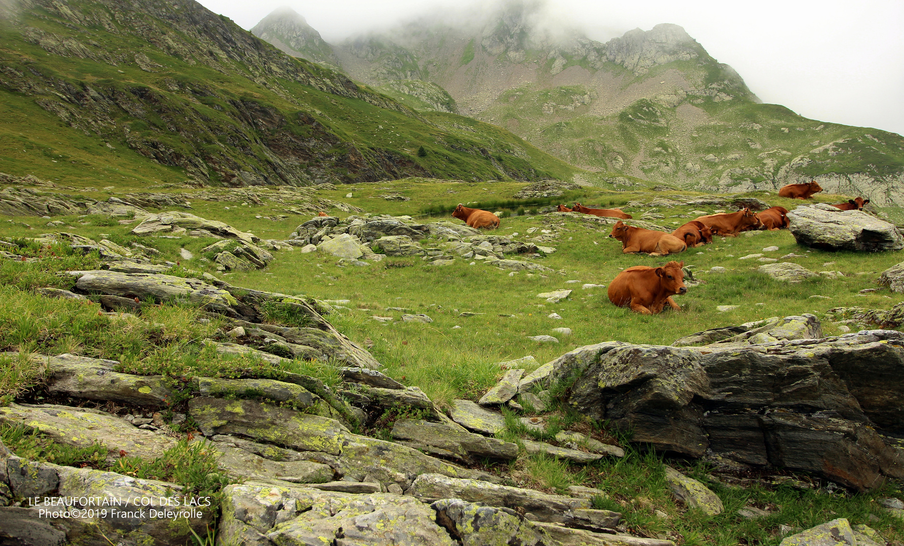 LE BEAUFORTAIN • Col des Lacs