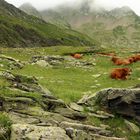 LE BEAUFORTAIN • Col des Lacs