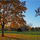 Le bel automne gersois