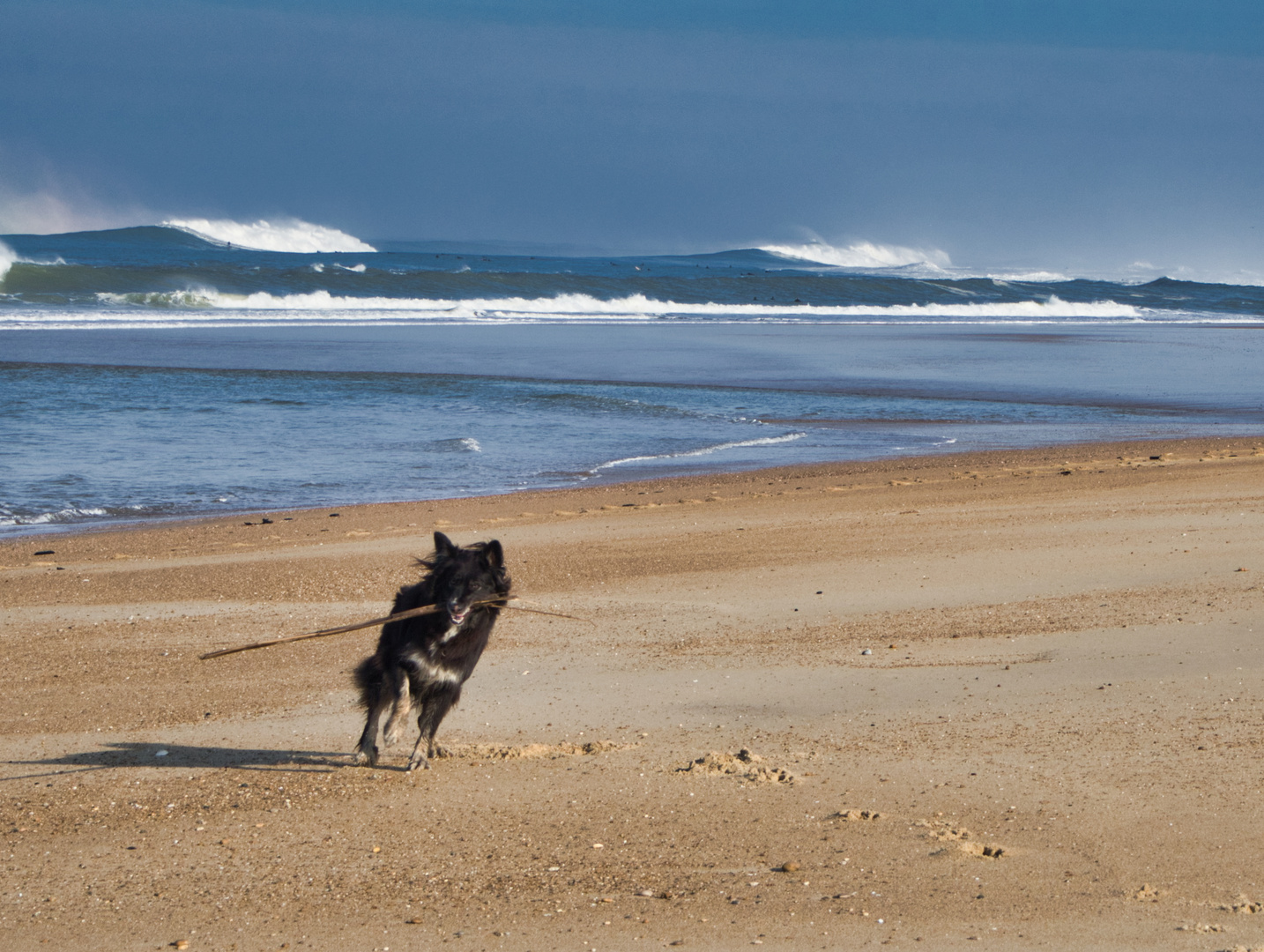 le belle vie à  HOSSEGOR