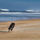 le belle vie à  HOSSEGOR