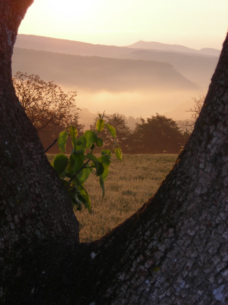 Le berceau du matin