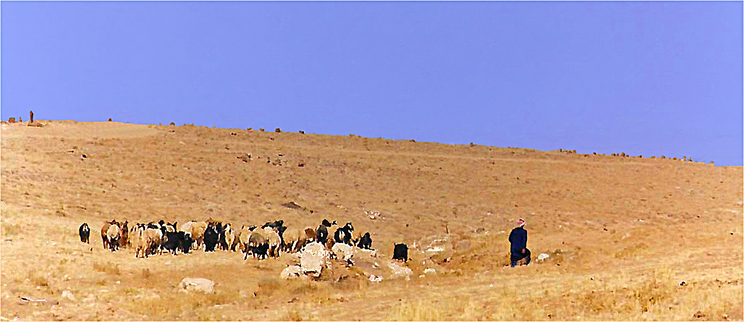 Le berger et son troupeau