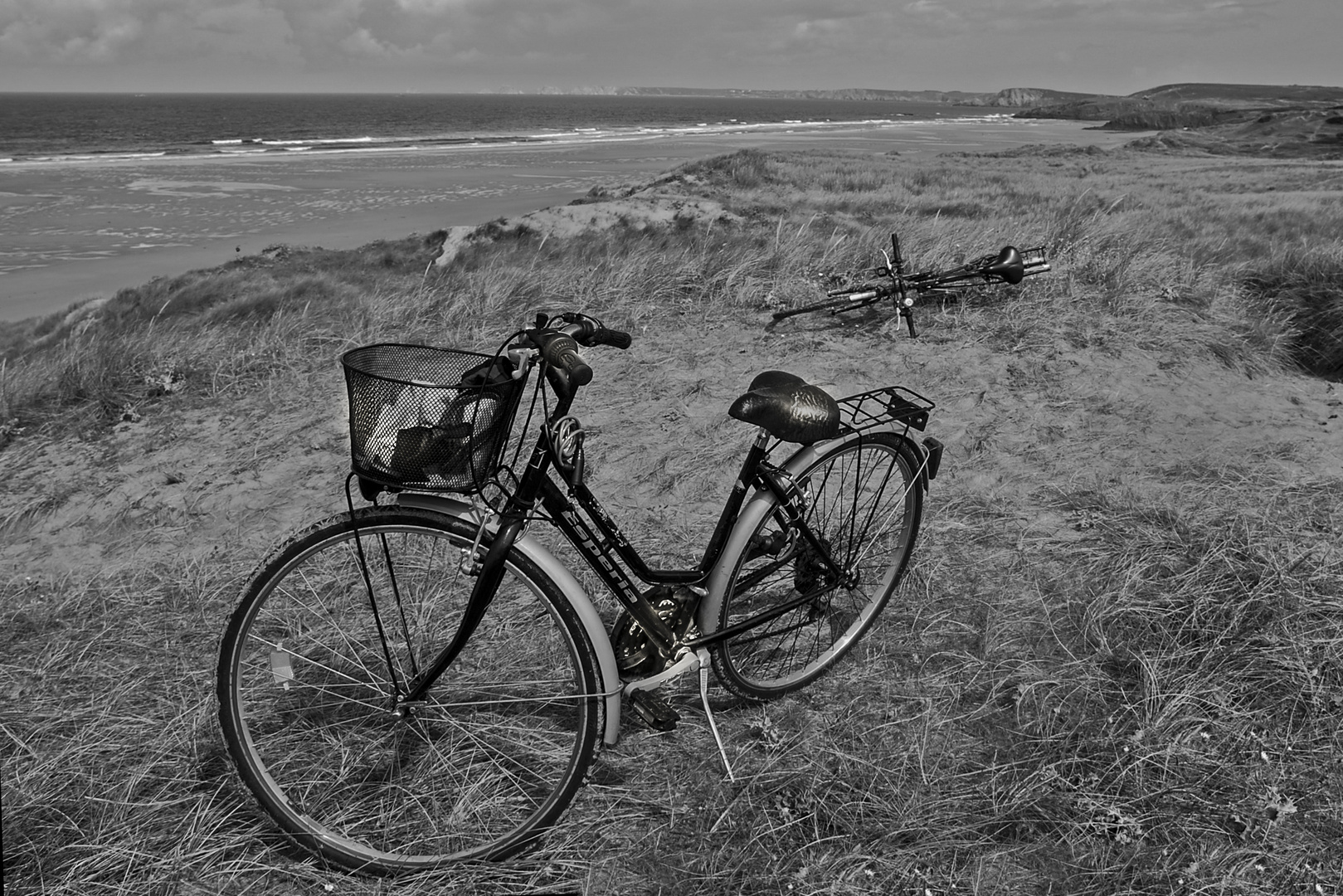 le biciclette abbandonate....