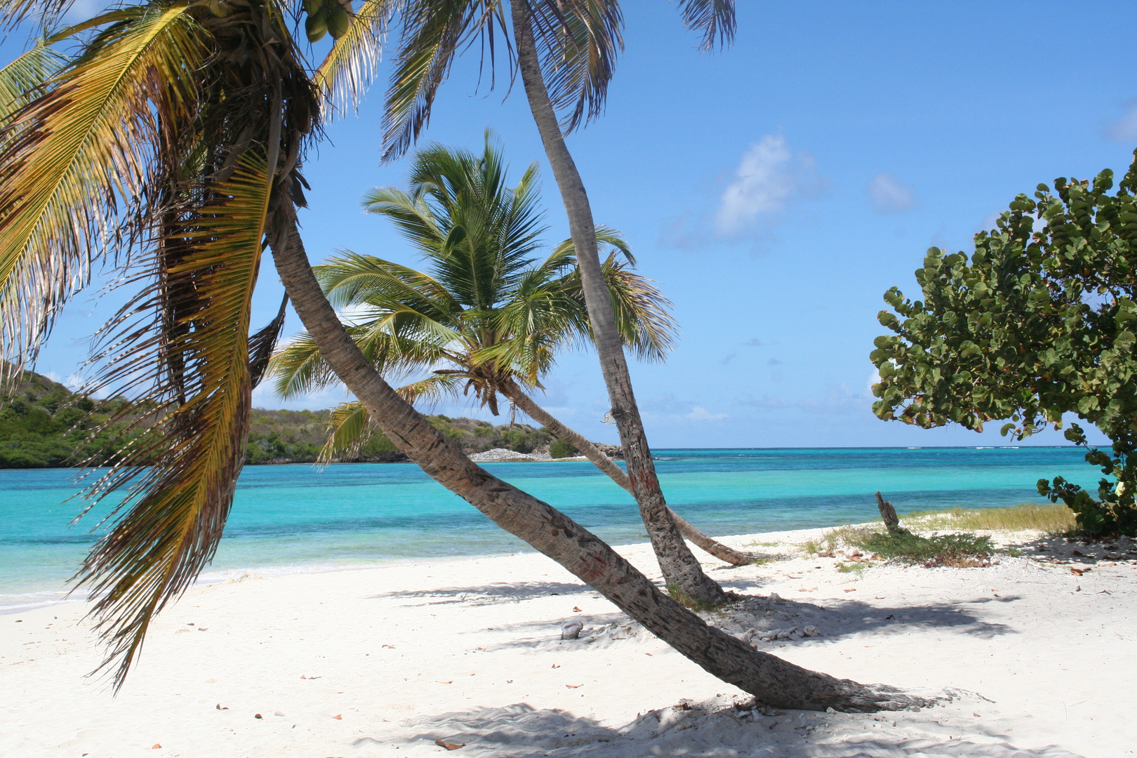 Le bleu de Tobago Cays