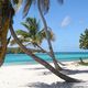 Le bleu de Tobago Cays