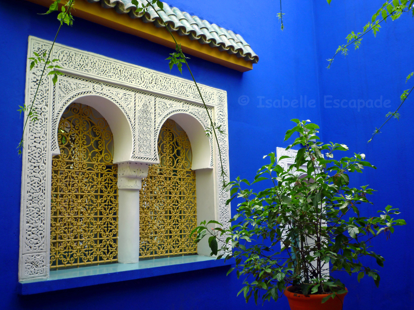 Le Bleu Majorelle