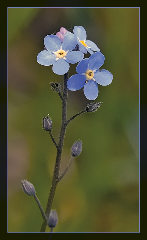 Le bleu vous va bien