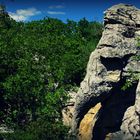 Le bois de Païolive (l'éléphant, Ardèche)