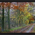 Le bois de Vincennes