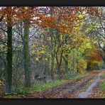 Le bois de Vincennes