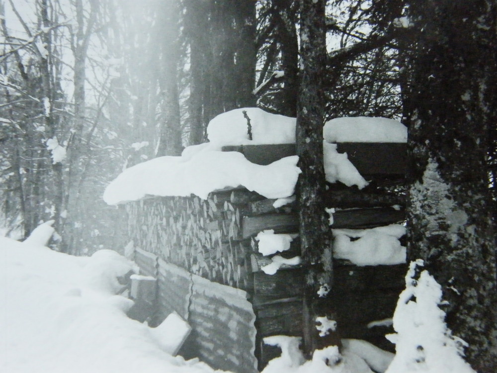 le bois pour l'hiver