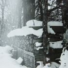 le bois pour l'hiver