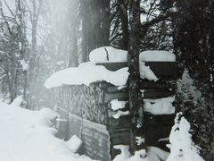 le bois pour l'hiver