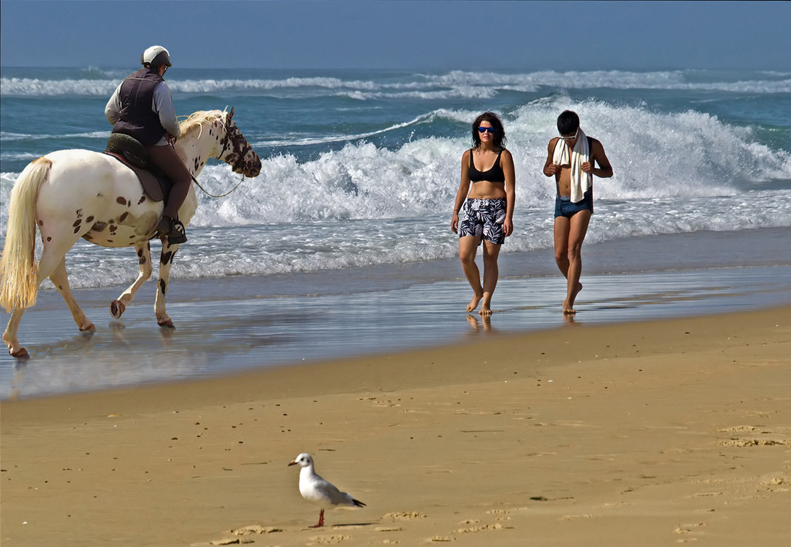 Le bonheur est aussi sur la plage… !