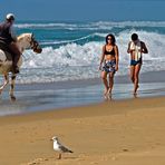 Le bonheur est aussi sur la plage… !