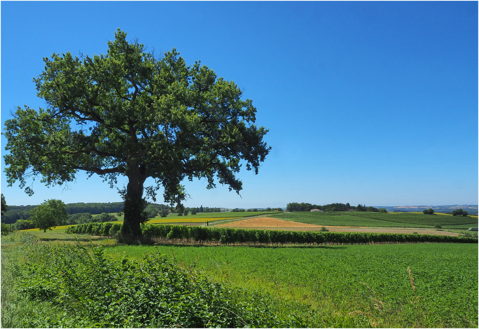 Le Bonheur est dans le Gers