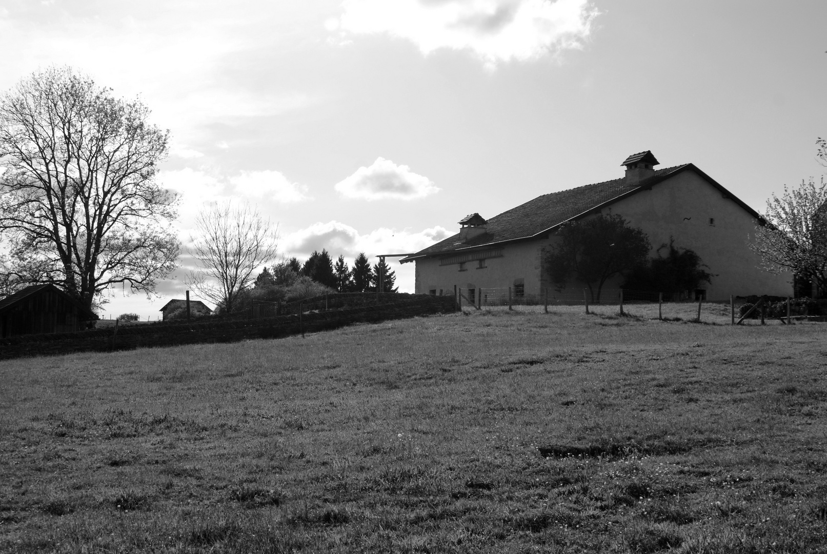 Le bonheur est dans le pré