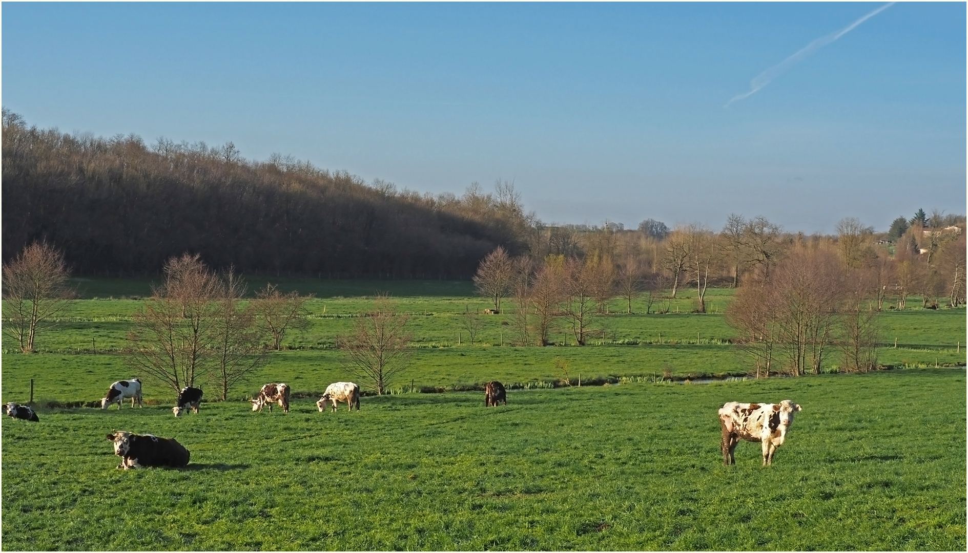 Le bonheur est dans le pré…