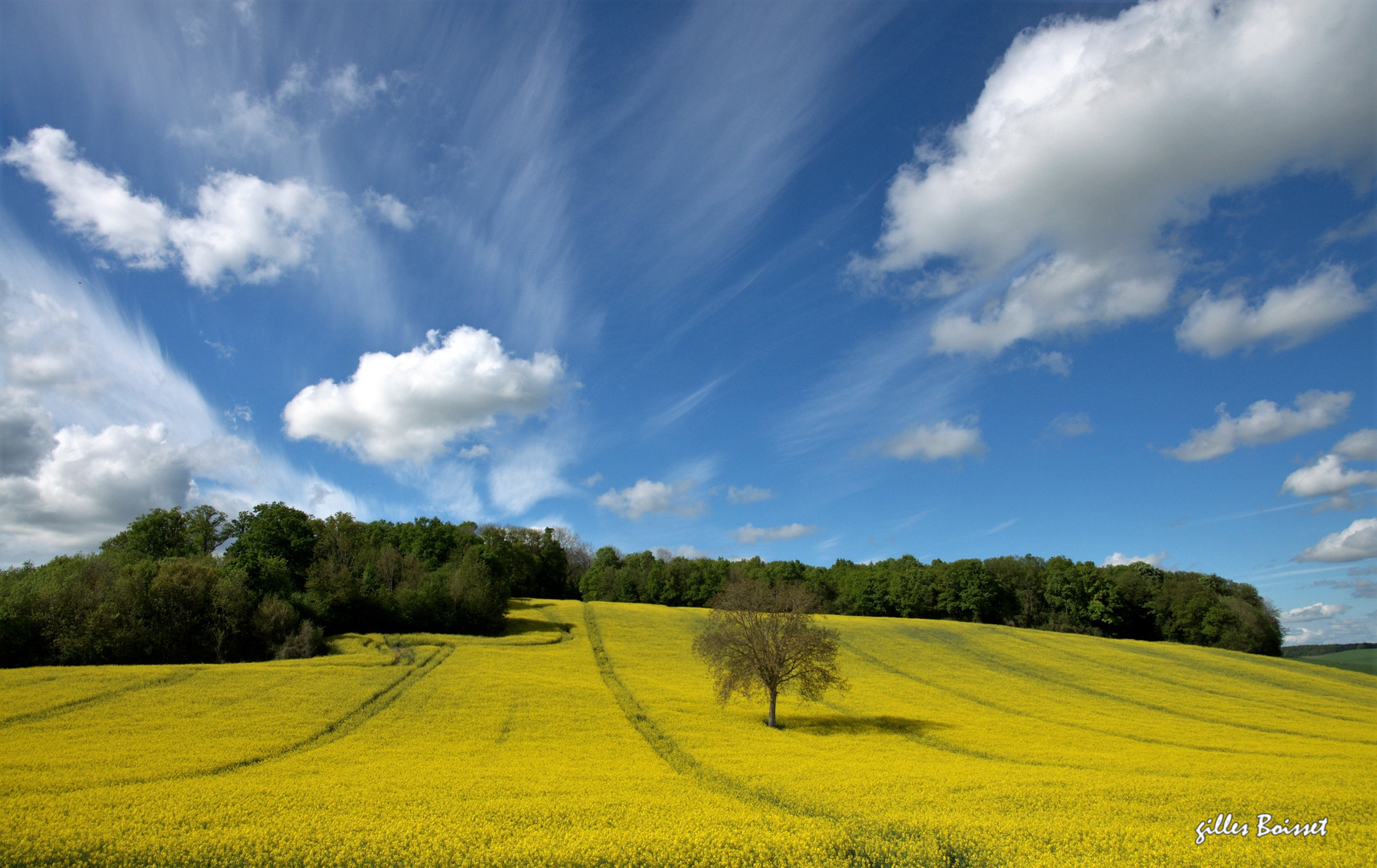 Le bonheur est dans le pré, cours y vite