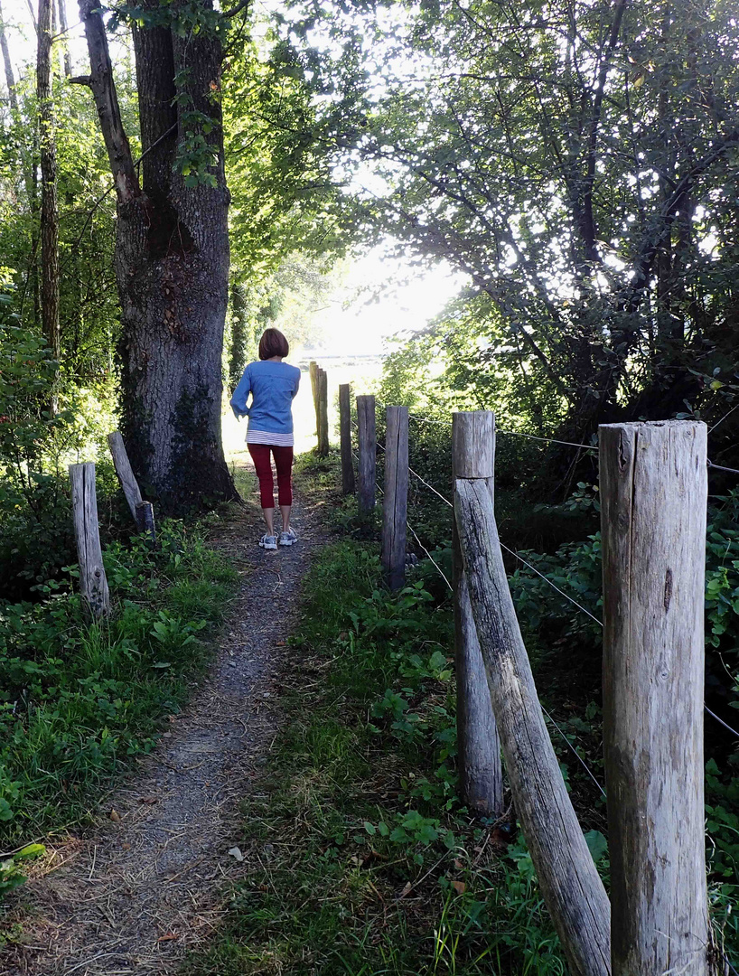 le bonheur est dans le pré, cours-y vite