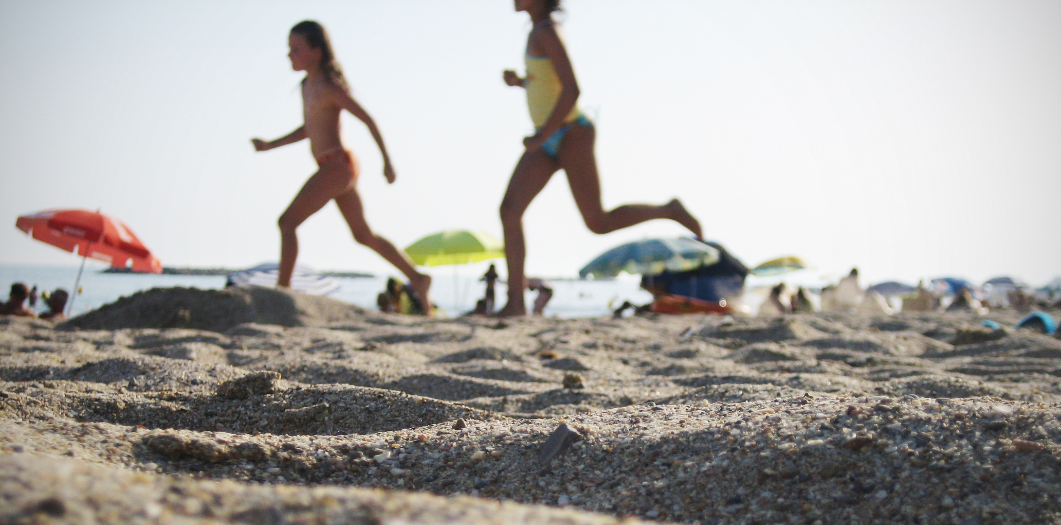 Le bonheur est dans le pré ... et à la plage !