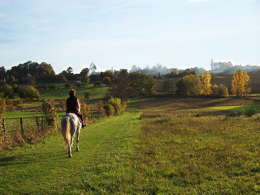 Le bonheur est dans le pré