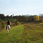 Le bonheur est dans le pré