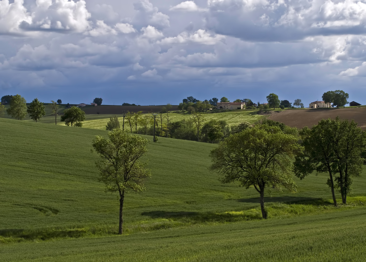  Le bonheur est dans les prés du Gers  --  Das Glück liegt in den Wiesen des Gers