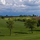  Le bonheur est dans les prés du Gers  --  Das Glück liegt in den Wiesen des Gers