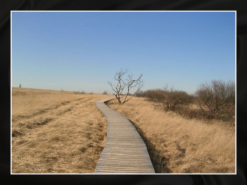 Le bonheur est peut-être au bout de ce chemin ?