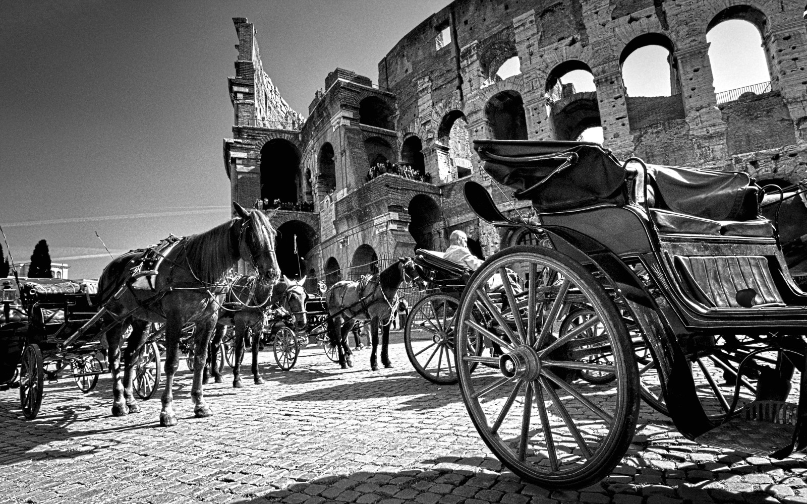 le "botticelle" al Colosseo