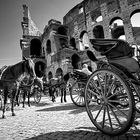 le "botticelle" al Colosseo