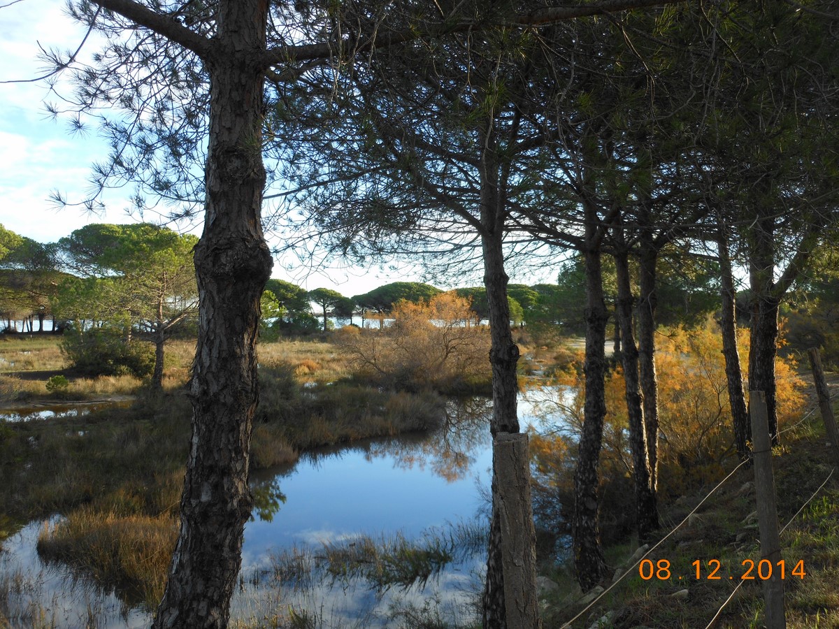 le boucanet