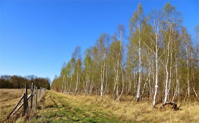 .. le boulaie !!!...