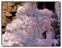 *le bouquet de l'hiver*