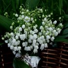 le bouquet de Muguet 