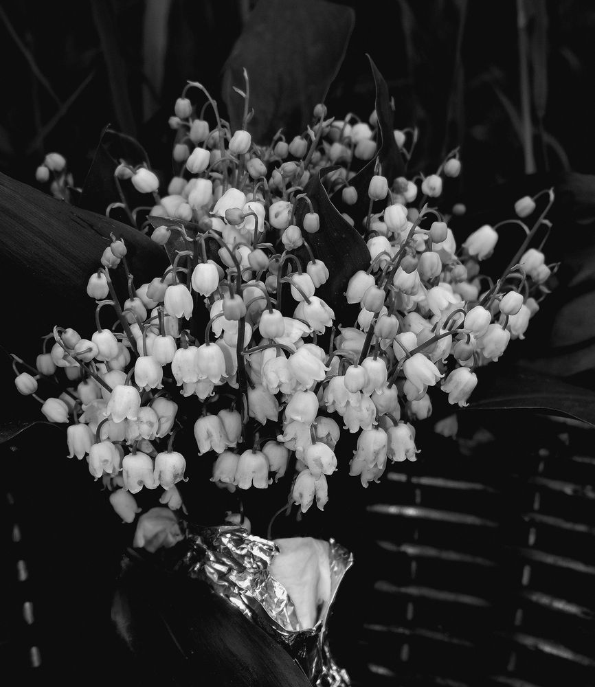 le bouquet de  Muguet 