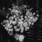 le bouquet de  Muguet 