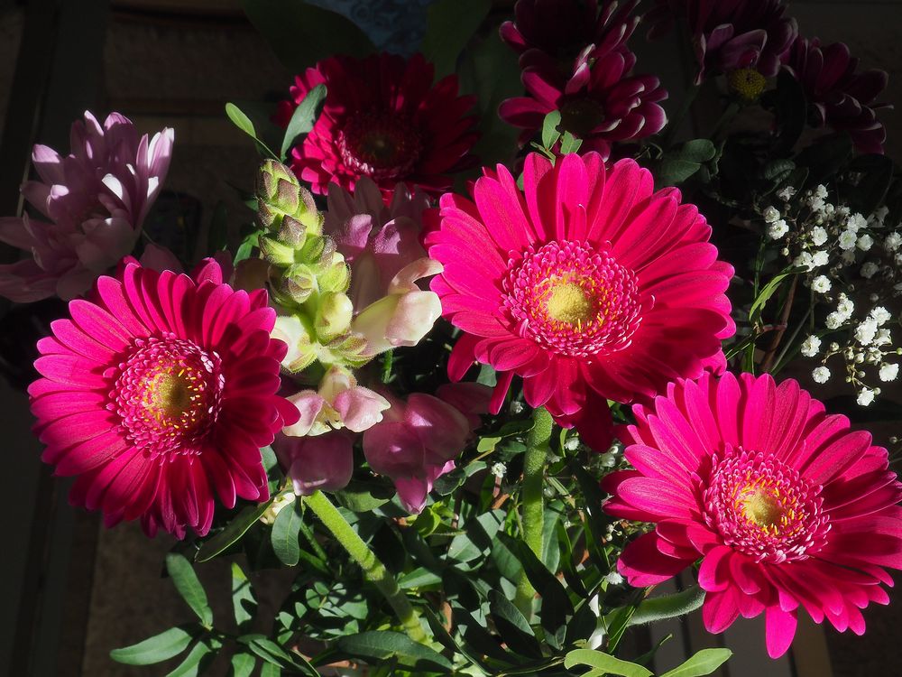 Le bouquet du dimanche